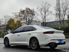 Geely Xingrui 2.0T Diesel Luxury - ფოტო 9