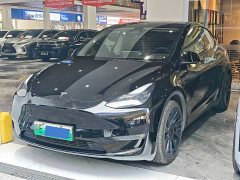 Tesla Model Y Standard Range RWD - ფოტო 1