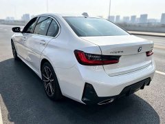 BMW 3 Series 320Li M Sport Package - ფოტო 16