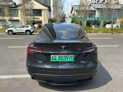 Tesla Model Y Rear-Wheel Drive - ფოტო 7