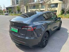 Tesla Model Y Rear-Wheel Drive - ფოტო 9