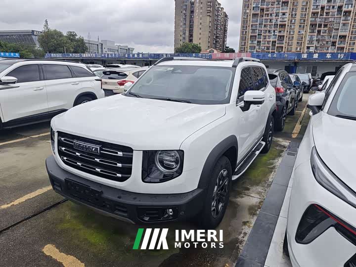 Great Wall Dachshund 2022 2.0T DCT Four-Wheel Drive Chinese Rural Dog Edition - ავტომობილი ჩინეთიდან