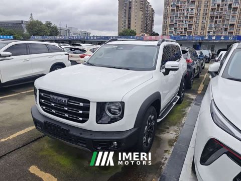 2021 Great Wall Dachshund 2022 2.0T DCT Four-Wheel Drive Chinese Rural Dog Edition - ავტომობილი ჩინეთიდან
