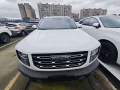 Great Wall Dachshund 2022 2.0T DCT Four-Wheel Drive Chinese Rural Dog Edition - ფოტო 2