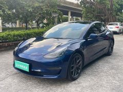 Tesla Model 3 Performance All-Wheel Drive - ფოტო 1