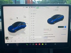 Tesla Model 3 Performance All-Wheel Drive - ფოტო 11
