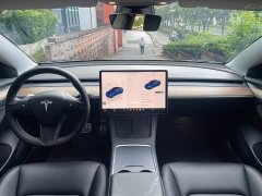 Tesla Model 3 Performance All-Wheel Drive - ფოტო 3