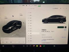 Tesla Model Y L Long Range All-Wheel Drive - ფოტო 16