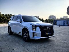 GAC Aion GS8 Dual Engine 2.0T M Two-Wheel Drive Luxury Edition (7-Seater) - ფოტო 3