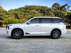 GAC Aion GS8 Dual Engine 2.0T M Two-Wheel Drive Luxury Edition (7-Seater) - ფოტო 5