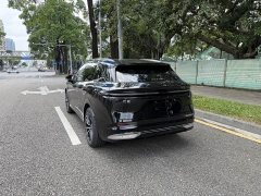 Zeekr Geely Zeekr 7X 75kWh Rear-Wheel Drive MAX - ფოტო 7