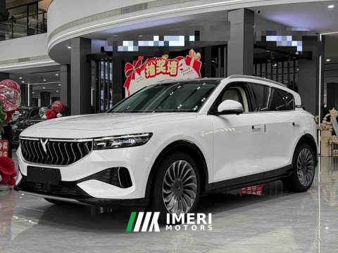 2022 Voyah Lantu FREE 2021 Four-Wheel Drive Standard Extended Range Exclusive Luxury Package - ავტომობილი ჩინეთიდან
