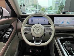 Voyah Lantu FREE 2021 Four-Wheel Drive Standard Extended Range Exclusive Luxury Package - ფოტო 5
