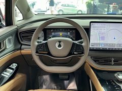 Denza D9 2022 DM-i 970 AWD Flagship - ფოტო 9