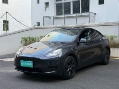 Tesla Model Y Rear-Wheel Drive - ფოტო 1