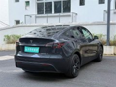Tesla Model Y Rear-Wheel Drive - ფოტო 10