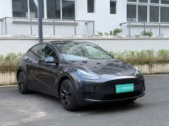 Tesla Model Y Rear-Wheel Drive - ფოტო 12