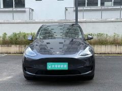 Tesla Model Y Rear-Wheel Drive - ფოტო 2