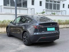 Tesla Model Y Rear-Wheel Drive - ფოტო 6