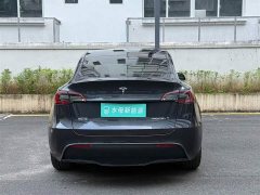 Tesla Model Y Rear-Wheel Drive - ფოტო 7