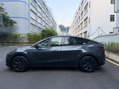 Tesla Model Y Rear-Wheel Drive - ფოტო 9