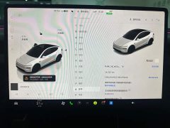 Tesla Model Y Rear-Wheel Drive - ფოტო 11