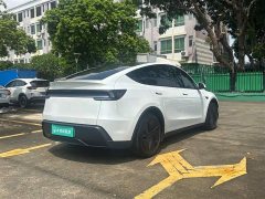 Tesla Model Y Rear-Wheel Drive - ფოტო 12