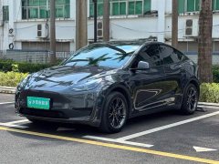 Tesla Model Y Rear-Wheel Drive - ფოტო 1