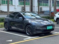 Tesla Model Y Rear-Wheel Drive - ფოტო 10
