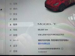 Tesla Model Y Rear-Wheel Drive - ფოტო 12