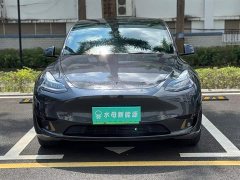 Tesla Model Y Rear-Wheel Drive - ფოტო 2