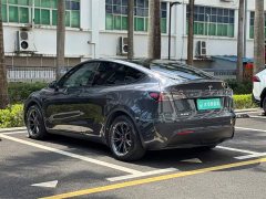 Tesla Model Y Rear-Wheel Drive - ფოტო 6