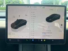 Tesla Model 3 Rear-Wheel Drive - ფოტო 9
