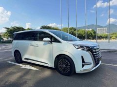 Denza BYD Denza D9 DM-i 1050 Premium - ფოტო 3