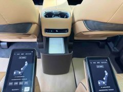 Denza BYD Denza D9 DM-i 1050 Premium - ფოტო 9