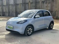 Wuling Binguo 2024 333km Lingxi Connected Edition - ფოტო 1
