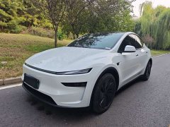 Tesla Model Y Rear-Wheel Drive - ფოტო 1