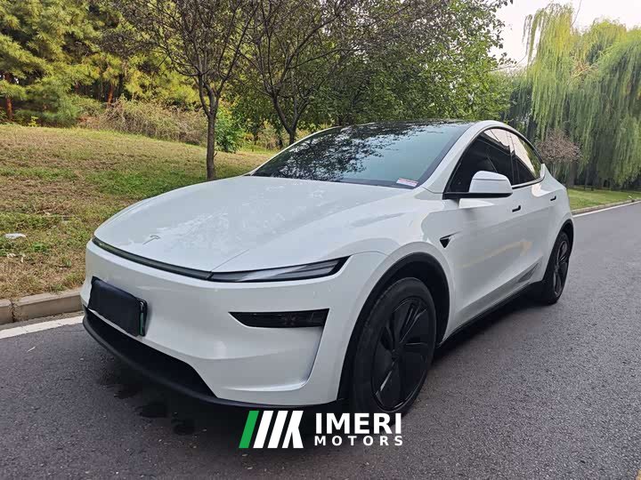 Tesla Model Y Rear-Wheel Drive