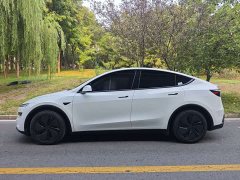 Tesla Model Y Rear-Wheel Drive - ფოტო 3
