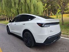 Tesla Model Y Rear-Wheel Drive - ფოტო 4