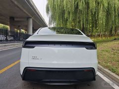Tesla Model Y Rear-Wheel Drive - ფოტო 5