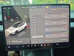 Tesla Model Y Rear-Wheel Drive - ფოტო 7