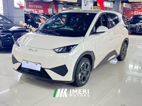 2025 BYD Seagull Smart Drive 405km Freedom Edition - ავტომობილი ჩინეთიდან