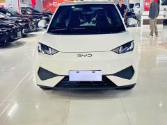 BYD Seagull Smart Drive 405km Freedom Edition - ფოტო 2