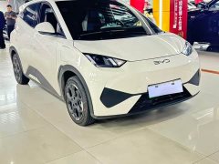 BYD Seagull Smart Drive 405km Freedom Edition - ფოტო 3