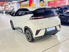 BYD Seagull Smart Drive 405km Freedom Edition - ფოტო 6