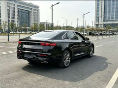 Geely Xingrui 2.0T Diesel Luxury - ფოტო 6