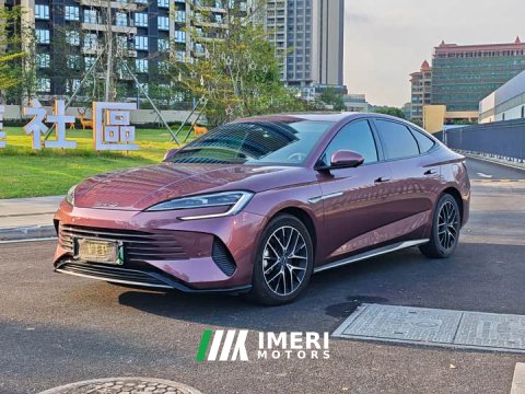 2023 BYD Dolphin DM-i 1.5T 121km Premier - ავტომობილი ჩინეთიდან