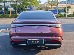 BYD Dolphin DM-i 1.5T 121km Premier - ფოტო 14