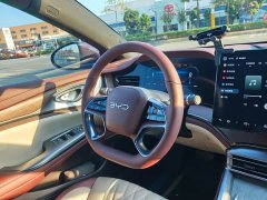 BYD Dolphin DM-i 1.5T 121km Premier - ფოტო 9